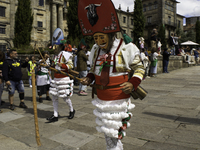 The annual parade of traditional costumes for the entroido, as the carnival is known in Galicia, takes place through the streets of Santiago...