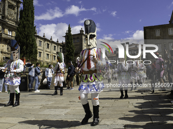 The annual parade of traditional costumes for the entroido, as the carnival is known in Galicia, takes place through the streets of Santiago...