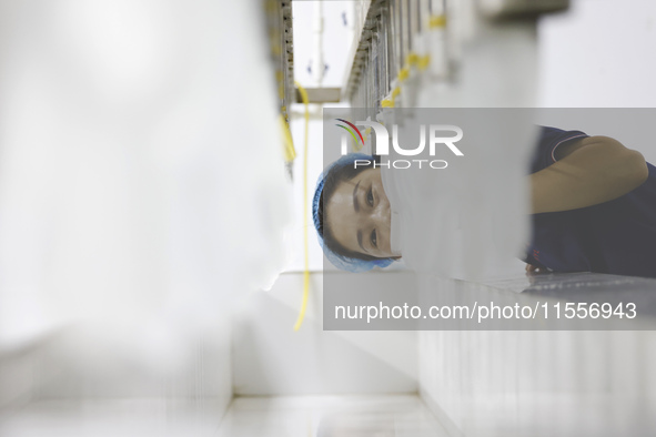 A worker produces disposable PVC gloves for domestic and international markets at a workshop of a foreign-funded enterprise in Suqian, China...