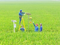 Workers inspect intelligent agricultural monitoring equipment and guide farmers to use it in Chuzhou, China, on September 7, 2024. (