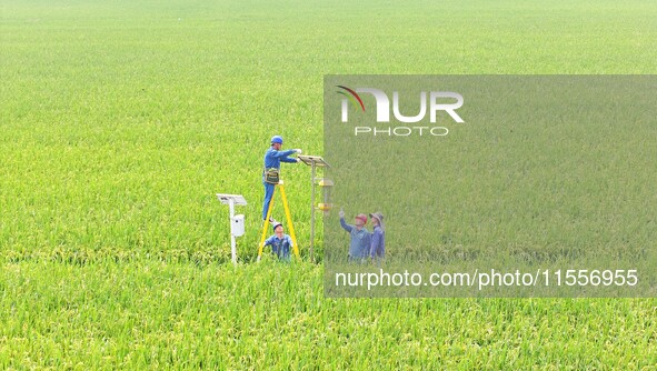 Workers inspect intelligent agricultural monitoring equipment and guide farmers to use it in Chuzhou, China, on September 7, 2024. 