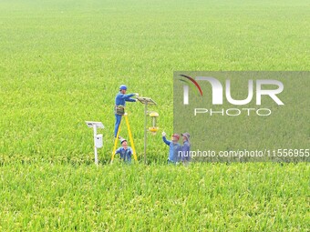 Workers inspect intelligent agricultural monitoring equipment and guide farmers to use it in Chuzhou, China, on September 7, 2024. (