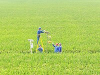 Workers inspect intelligent agricultural monitoring equipment and guide farmers to use it in Chuzhou, China, on September 7, 2024. (