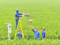 Workers inspect intelligent agricultural monitoring equipment and guide farmers to use it in Chuzhou, China, on September 7, 2024. (