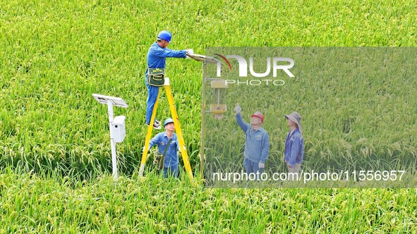 Workers inspect intelligent agricultural monitoring equipment and guide farmers to use it in Chuzhou, China, on September 7, 2024. 