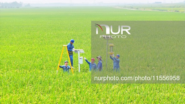 Workers inspect intelligent agricultural monitoring equipment and guide farmers to use it in Chuzhou, China, on September 7, 2024. 