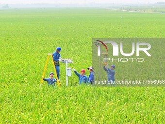 Workers inspect intelligent agricultural monitoring equipment and guide farmers to use it in Chuzhou, China, on September 7, 2024. (