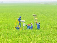 Workers inspect intelligent agricultural monitoring equipment and guide farmers to use it in Chuzhou, China, on September 7, 2024. (