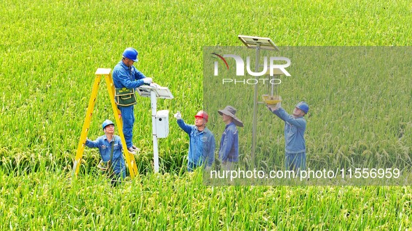 Workers inspect intelligent agricultural monitoring equipment and guide farmers to use it in Chuzhou, China, on September 7, 2024. 