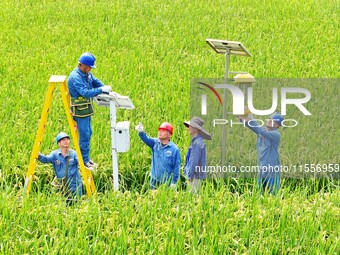 Workers inspect intelligent agricultural monitoring equipment and guide farmers to use it in Chuzhou, China, on September 7, 2024. (