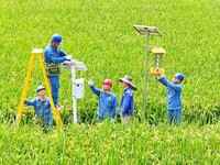 Workers inspect intelligent agricultural monitoring equipment and guide farmers to use it in Chuzhou, China, on September 7, 2024. (