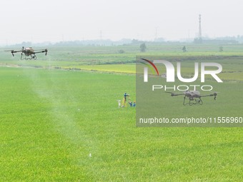 Farmers use drones to carry out intelligent cruise spraying operations in Chuzhou, China, on September 7, 2024. (