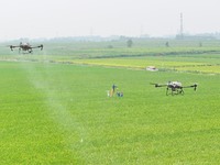 Farmers use drones to carry out intelligent cruise spraying operations in Chuzhou, China, on September 7, 2024. (