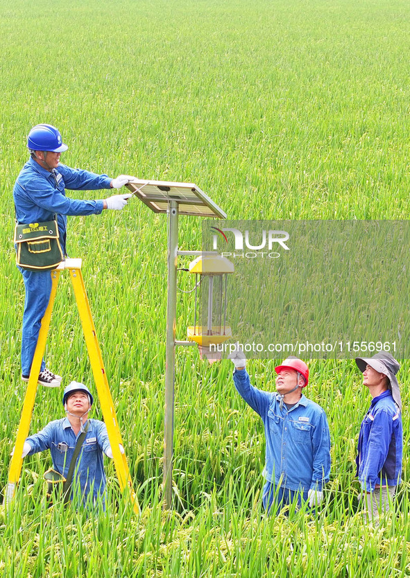 Workers inspect intelligent agricultural monitoring equipment and guide farmers to use it in Chuzhou, China, on September 7, 2024. 