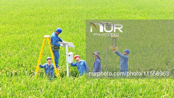 Workers inspect intelligent agricultural monitoring equipment and guide farmers to use it in Chuzhou, China, on September 7, 2024. 