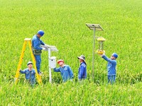 Workers inspect intelligent agricultural monitoring equipment and guide farmers to use it in Chuzhou, China, on September 7, 2024. (