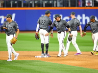 The New York Mets celebrate after their 4-0 win against the Cincinnati Reds at Citi Field in Corona, New York, on September 7, 2024. (