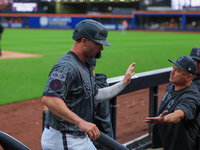 New York Mets Pete Alonso #20 is congratulated after scoring during the sixth inning of the baseball game against the Cincinnati Reds at Cit...