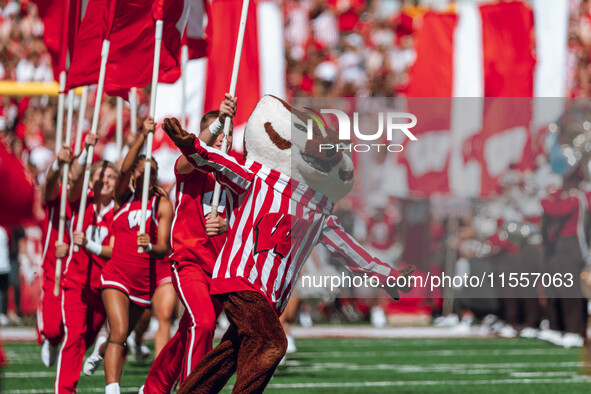 Bucky Badger leads the Wisconsin Badgers onto the field at Camp Randall Stadium in Madison, Wisconsin, on September 7, 2024. 