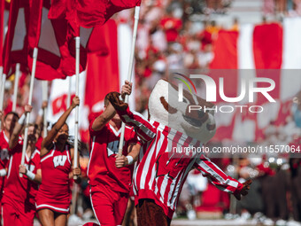 Bucky Badger leads the Wisconsin Badgers onto the field at Camp Randall Stadium in Madison, Wisconsin, on September 7, 2024. (