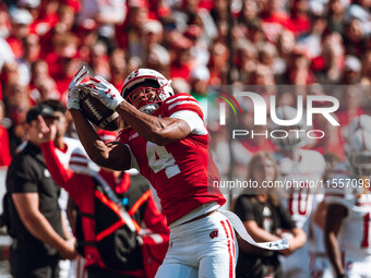 Wisconsin Badgers wide receiver C.J. Williams #4 catches a pass against the South Dakota Coyotes at Camp Randall Stadium in Madison, Wiscons...