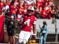 Wisconsin Badgers wide receiver C.J. Williams #4 celebrates a touchdown against the South Dakota Coyotes at Camp Randall Stadium in Madison,...