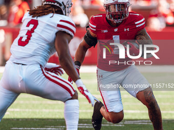 Wisconsin Badgers running back Chez Mellusi #1 takes a screen pass against the South Dakota Coyotes defense at Camp Randall Stadium in Madis...