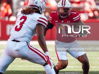 Wisconsin Badgers running back Chez Mellusi #1 takes a screen pass against the South Dakota Coyotes defense at Camp Randall Stadium in Madis...