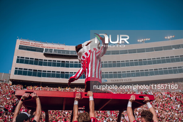 Bucky Badger is at Camp Randall Stadium in Madison, Wisconsin, on September 7, 2024. 