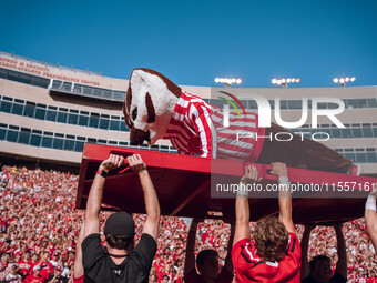 Bucky Badger is at Camp Randall Stadium in Madison, Wisconsin, on September 7, 2024. (