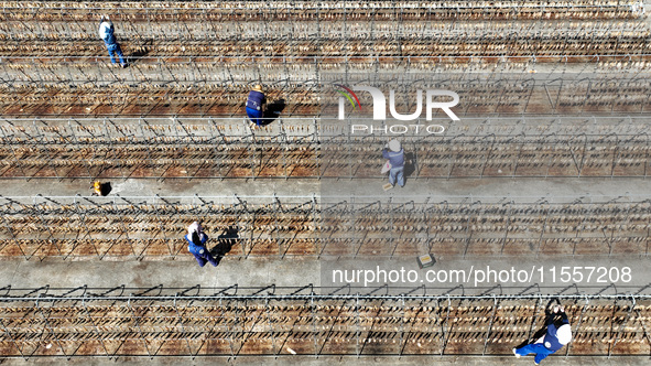 Workers dry squid at a seafood processing company in Zhoushan, China, on September 8, 2024. 