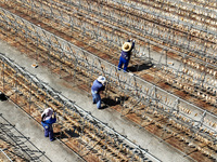 Workers dry squid at a seafood processing company in Zhoushan, China, on September 8, 2024. (