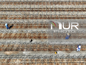 Workers dry squid at a seafood processing company in Zhoushan, China, on September 8, 2024. (