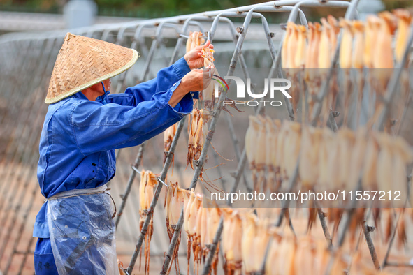 A worker dries squid at a seafood processing company in Zhoushan, China, on September 8, 2024. 