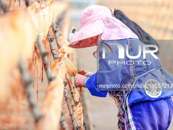 A worker dries squid at a seafood processing company in Zhoushan, China, on September 8, 2024. (