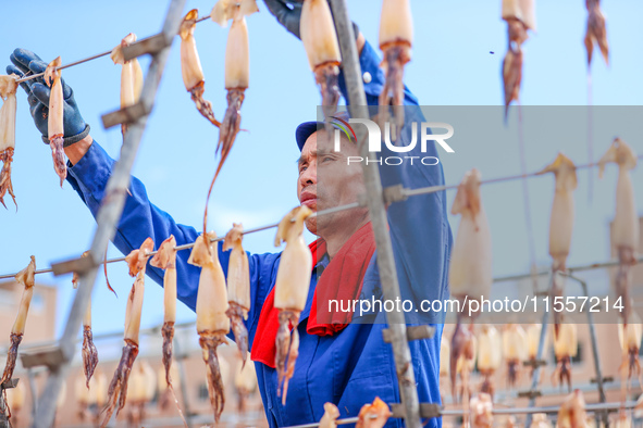 A worker dries squid at a seafood processing company in Zhoushan, China, on September 8, 2024. 