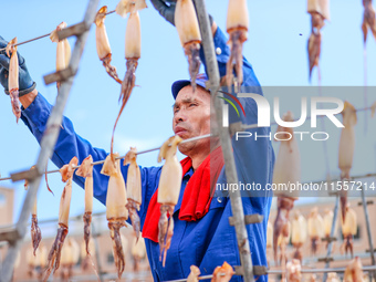 A worker dries squid at a seafood processing company in Zhoushan, China, on September 8, 2024. (