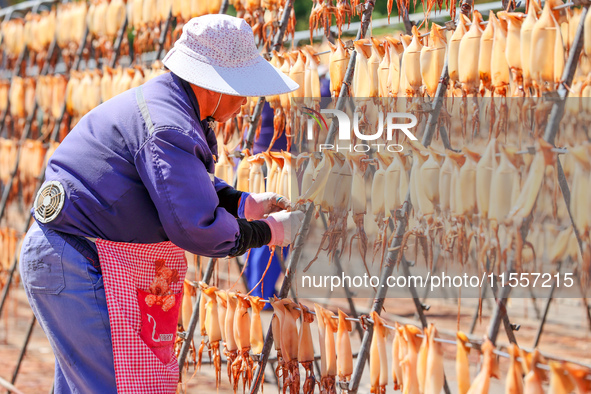 A worker dries squid at a seafood processing company in Zhoushan, China, on September 8, 2024. 