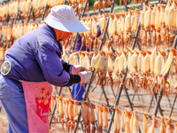 A worker dries squid at a seafood processing company in Zhoushan, China, on September 8, 2024. (