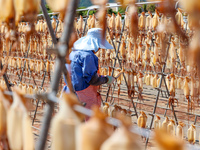 A worker dries squid at a seafood processing company in Zhoushan, China, on September 8, 2024. (