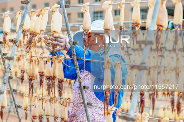 A worker dries squid at a seafood processing company in Zhoushan, China, on September 8, 2024. 