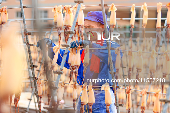 A worker dries squid at a seafood processing company in Zhoushan, China, on September 8, 2024. 