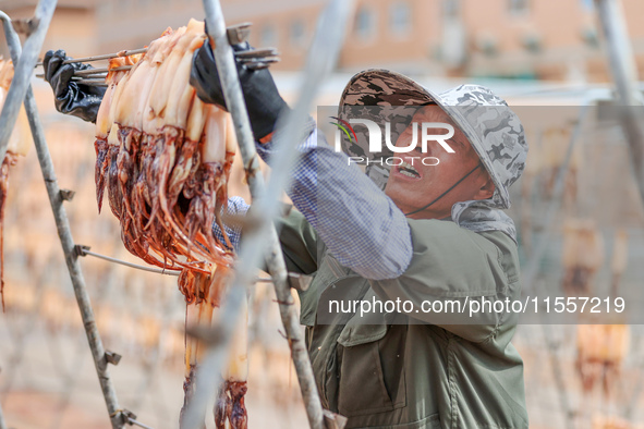 A worker dries squid at a seafood processing company in Zhoushan, China, on September 8, 2024. 