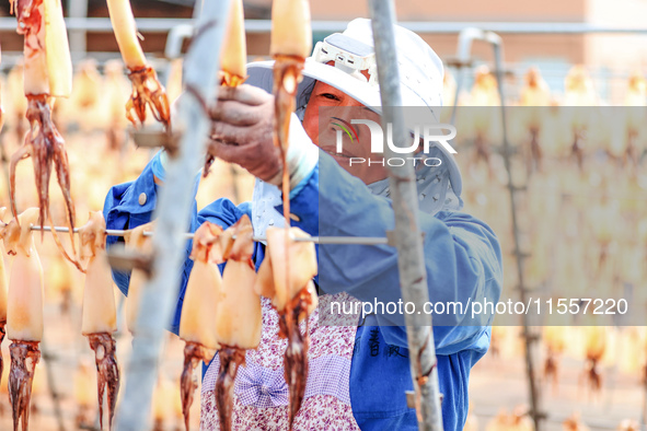 A worker dries squid at a seafood processing company in Zhoushan, China, on September 8, 2024. 