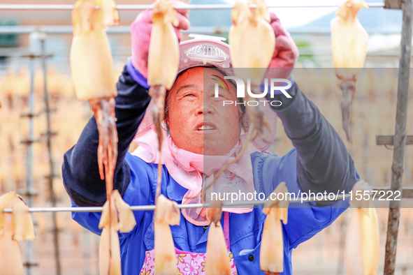 A worker dries squid at a seafood processing company in Zhoushan, China, on September 8, 2024. 