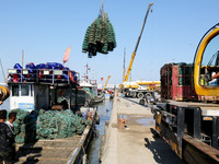 Fishermen hoist oyster cage seedlings for sea release in Lianyungang, China, on September 8, 2024. (