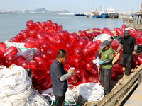 Fishermen load a floating ship to be transported to a breeding area in Lianyungang, China, on September 8, 2024. (