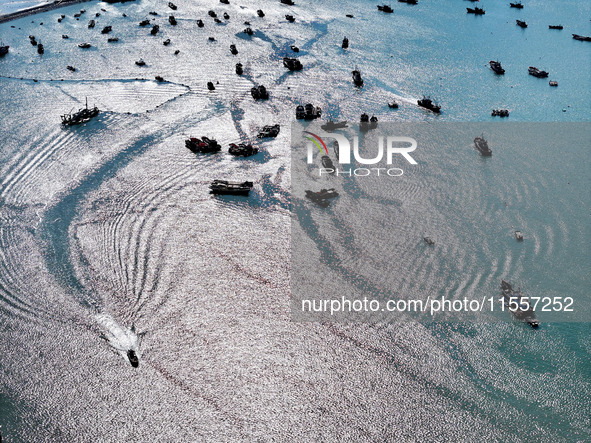 Fishermen drive various kinds of aquaculture boats in the coastal aquaculture zone in Lianyungang, China, on September 8, 2024. 