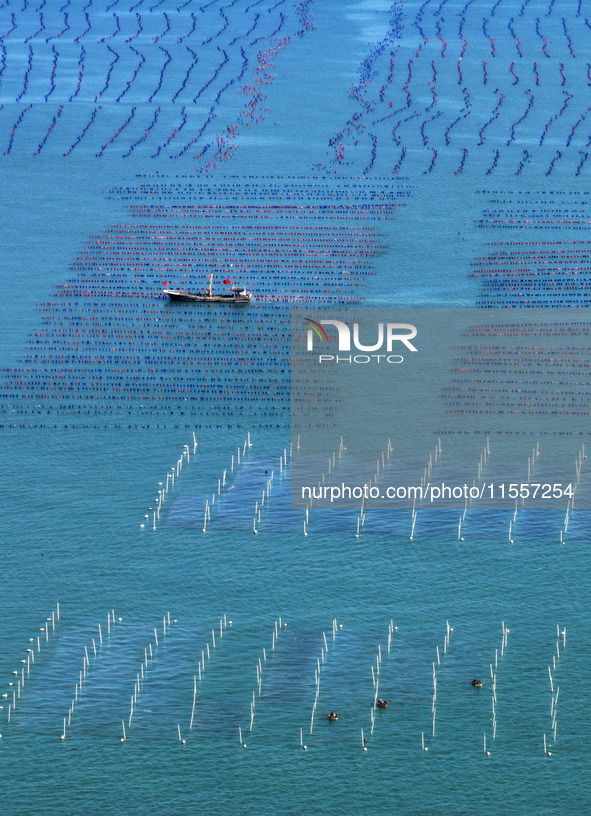 Fishermen drive various kinds of aquaculture boats in the coastal aquaculture zone in Lianyungang, China, on September 8, 2024. 