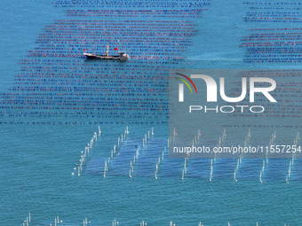 Fishermen drive various kinds of aquaculture boats in the coastal aquaculture zone in Lianyungang, China, on September 8, 2024. (